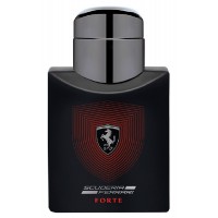 Ferrari Scuderia Ferrari Forte тестер (парфюмированная вода) 125 мл
