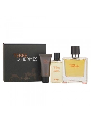 Hermes Terre d'Hermes Eau De Toilette Подарунковий набір (туалетна вода 100 мл + гель для душу 80 мл + бальзам після гоління 40 мл)