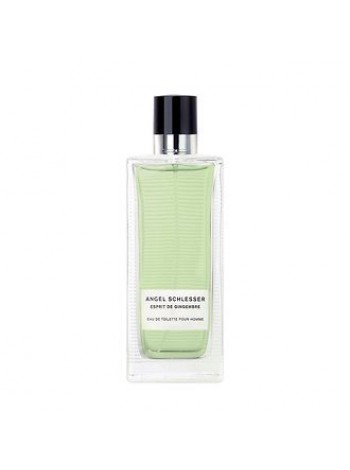 Angel Schlesser Esprit Gingembre Pour Homme тестер (туалетна вода) 100 мл