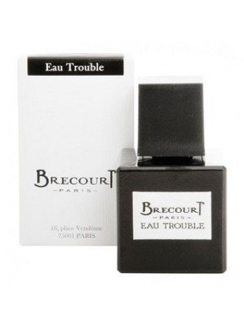 Brecourt Eau Trouble парфюмована вода 50 мл