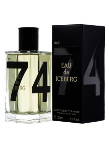 Eau de Iceberg Pour Homme туалетная вода 100 мл