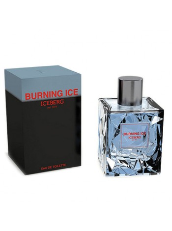 Iceberg Burning Ice туалетная вода 50 мл