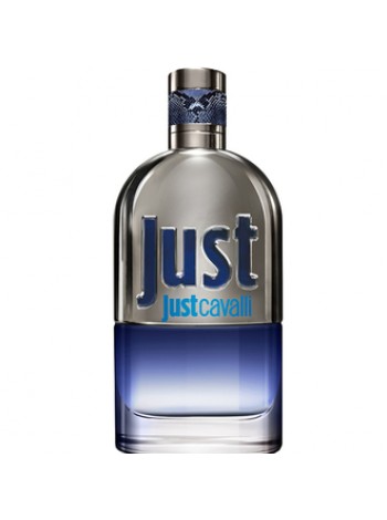 Роберто Каваллі Just Cavalli Him 2013 тестер (туалетна вода) 90 мл