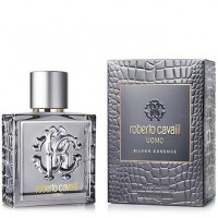Roberto Cavalli Uomo Silver Essence туалетна вода 100 мл
