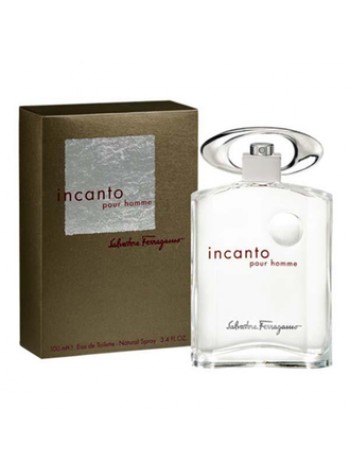 Salvatore Ferragamo Incanto Pour Homme туалетная вода 100 мл