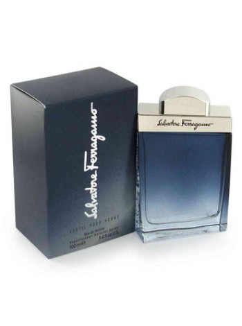 Salvatore Ferragamo Subtil Pour Homme туалетная вода 100 мл