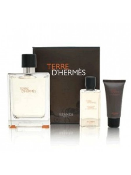 Hermes Terre d'Hermes Eau De Toilette Подарочный набор (туалетная вода 100 мл + гель для душа 40 мл + бальзам после бритья 15 мл)
